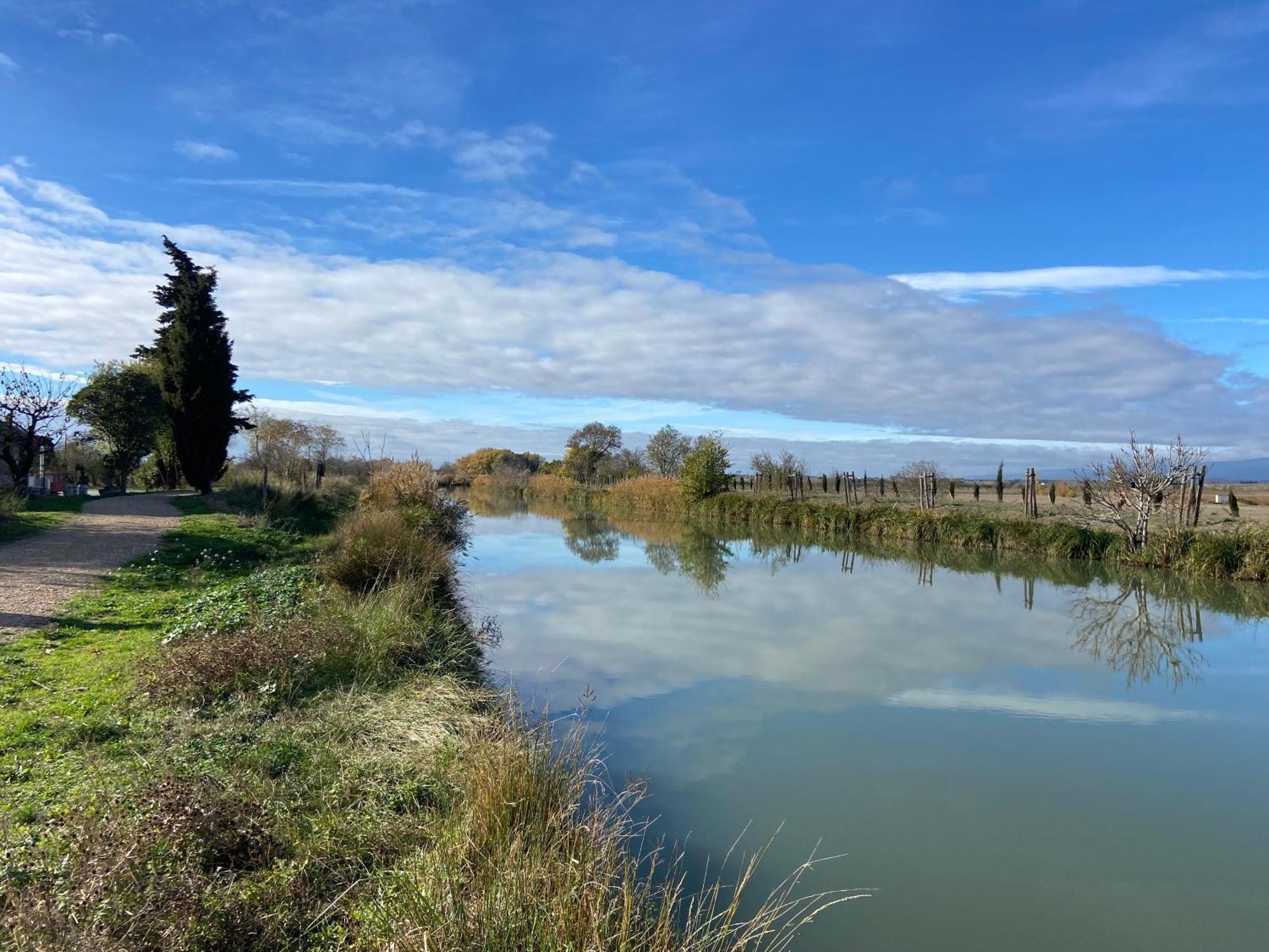 Maison, Canal Du Midi Piscine Homps (Aude) Exterior foto